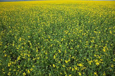 《潜行者2》原声带“Storming”公布 游戏明年正式发售